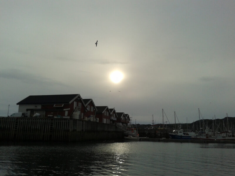 a pearly white sun shining through soft white cloud over dark red wooden buildings and reflected in grey still water