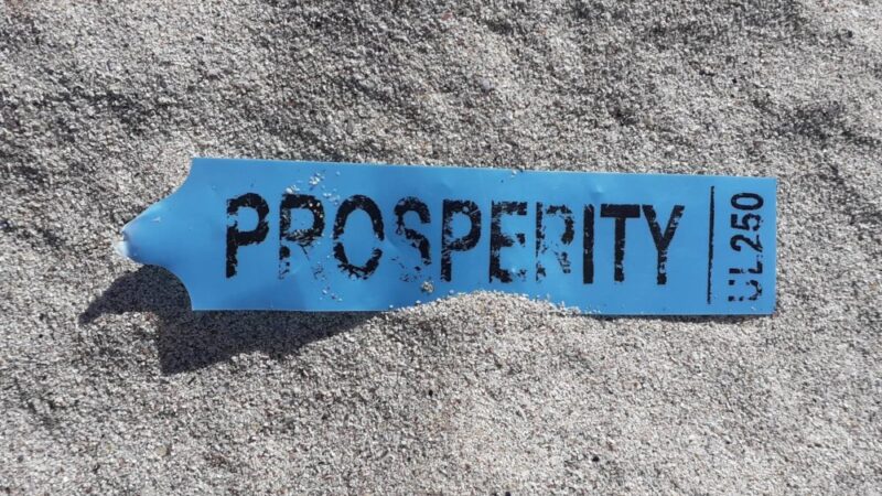 a blue plastic tag with 'prosperity' in large black capital letters on pale golden shell sand