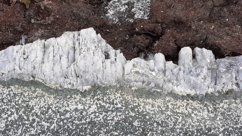 jagged fringe of quartzite protuding from speckled grey-green Lewisian gneiss on a bed of dark brown peat