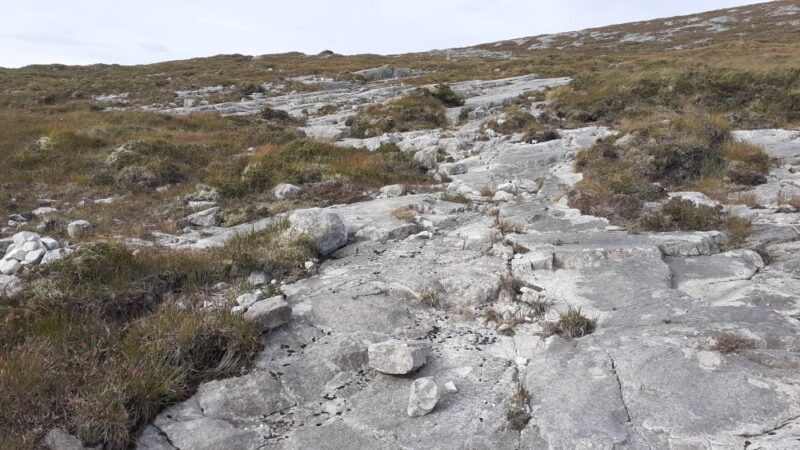 pale grey quartzite with scattered small boulders, edged by bronzing heathery grass
