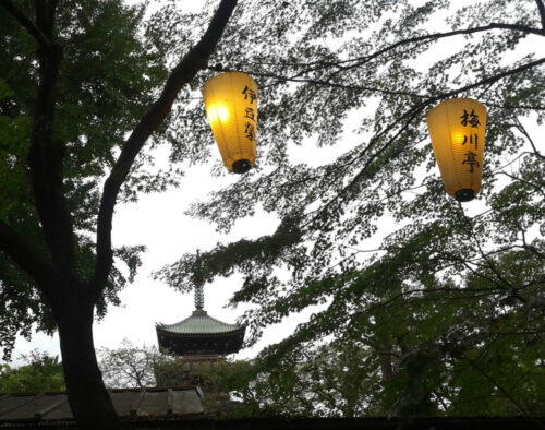 yellow paper lanterns hanging in trees